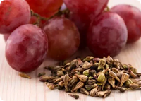 GRAPE SEED