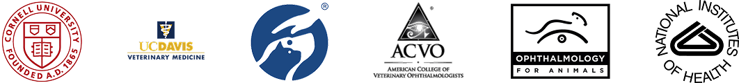 Validating Organizations Logos