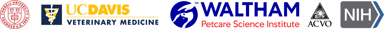 Desktop Banner