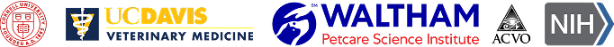 Mobile Banner